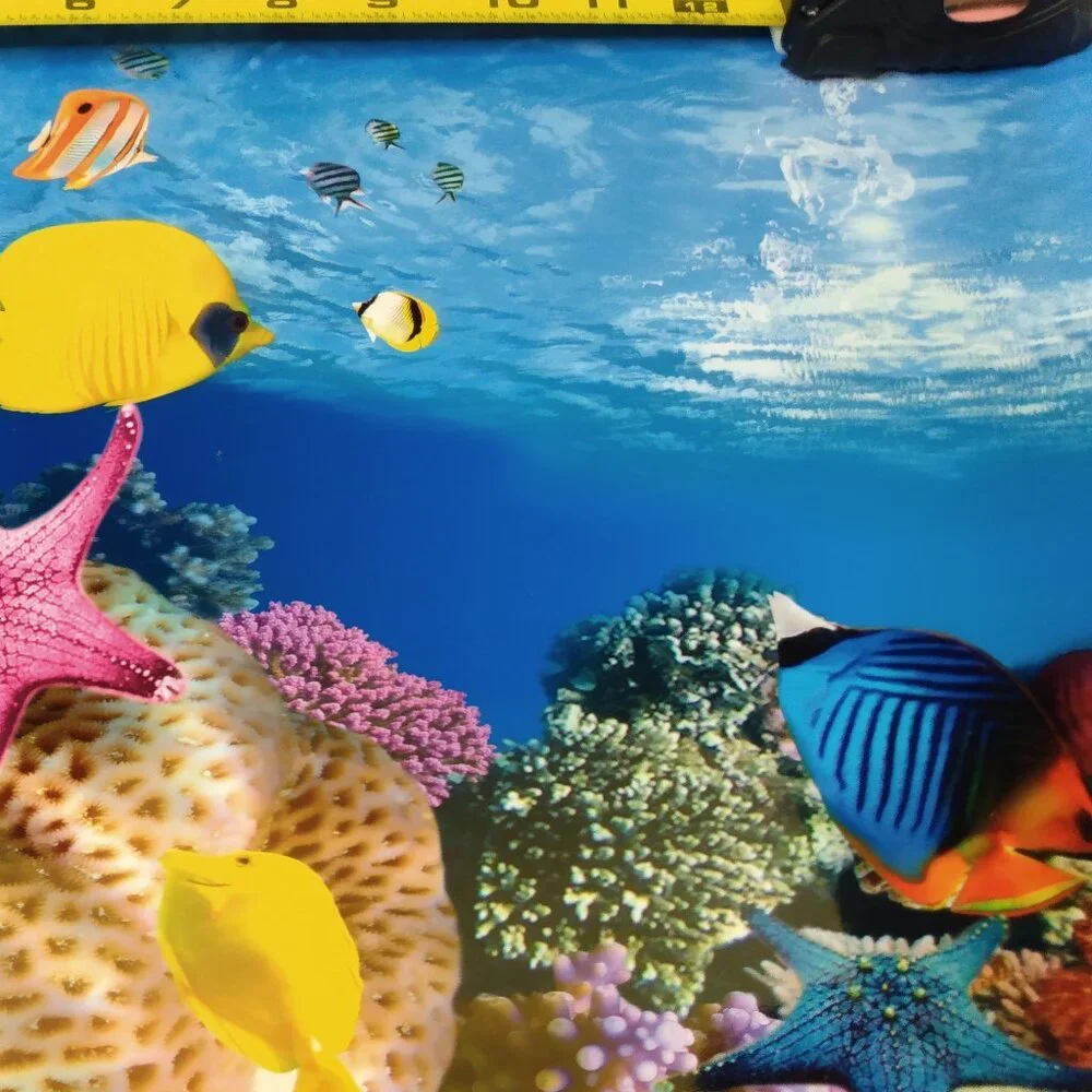 Fishtank backing pictures approximately 17 1/2